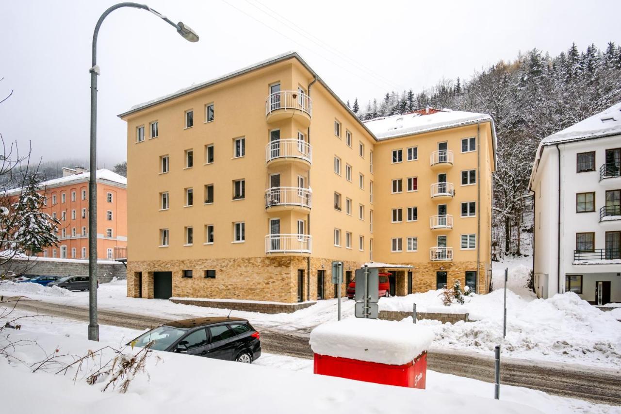 Boutique Apartment 23 - Rezidence K Lanovce Jáchymov Kültér fotó